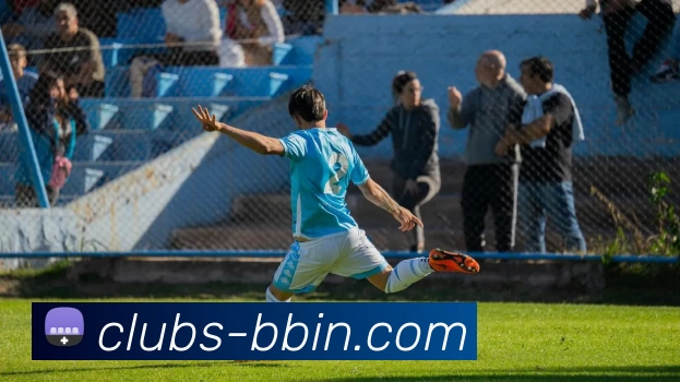 BBIN体育投注发展历程